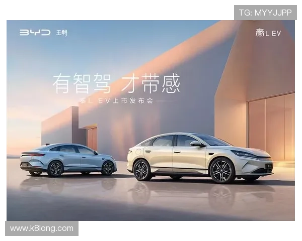 天生赢家的成长之路：K8凯发助力中国电竞选手实现巅峰