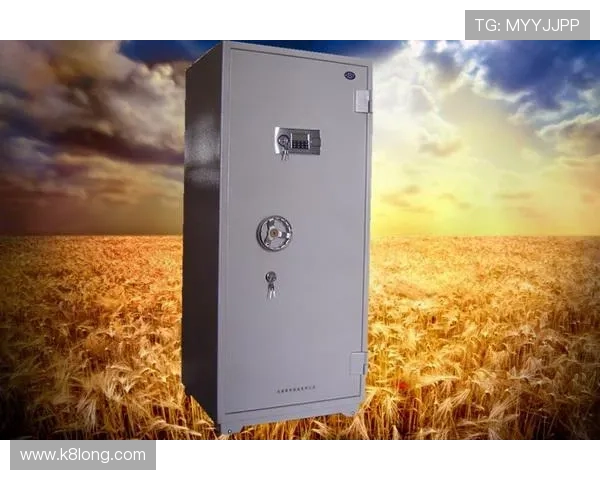 凯发体育k8移动端登录与操作指南帮助玩家轻松体验