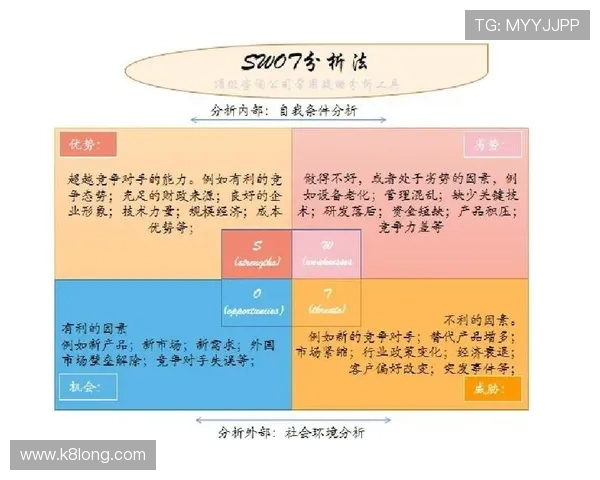 深入分析PA视讯公司在网络游戏行业中的核心竞争优势及未来发展战略规划