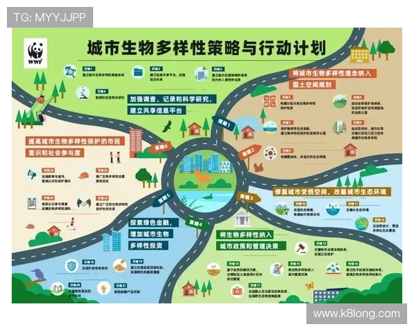 凯发k8一触即发怎么样了解平台的支付方式多样性与资金安全保障