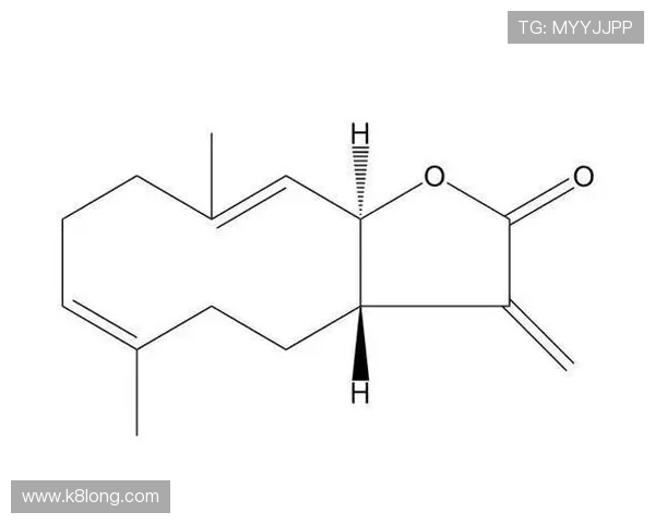 选择K8凯发平台开户的优势与安全措施详尽分析